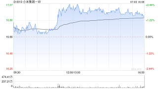 小米集团-W7月3日耗资约5089.39万港元回购300万股