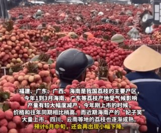 潇湘晨报:智慧策荔枝价格下降，'妃子笑'变'妃子哭'？荔枝自由不再是梦