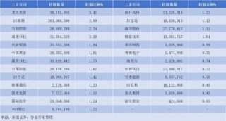 加仓屡屡“踩雷”，换帅刚挨“训诫”，银河德睿投资专业性去哪了？