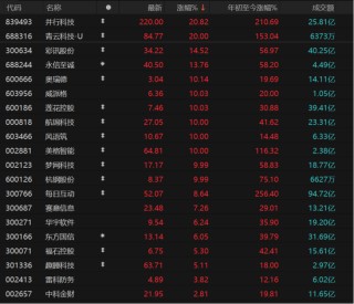 调整来了？DeepSeek概念分化