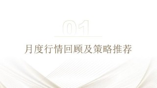 贵金属月报