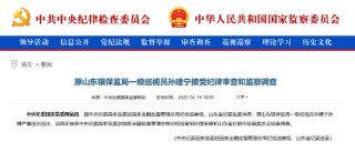 原山东银保监局一级巡视员孙建宁被查