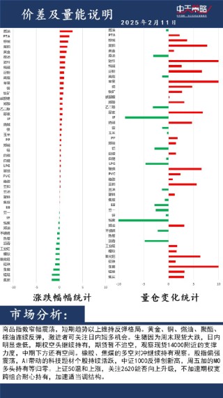 中天策略:2月11日市场分析
