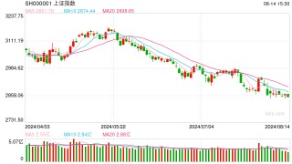 杨德龙：全面解读7月份金融数据 稳增长政策需不断加码