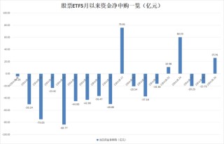 月刊:鸿岳资本关键时刻！抄底资金来了