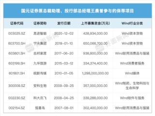 国元证券投行负责人传被带走调查，去年公司投行收入同比降七成