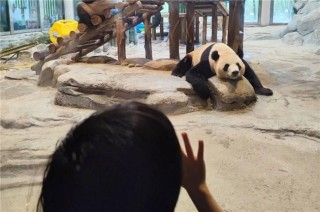 从一线回归，30岁在长沙万兴拿百万年薪是一种什么样的体验