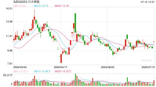 川大智胜回应股价涨停：原因没法判定 公司经营正常
