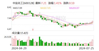 中盐化工：主营产品价格下滑 上半年归母净利润同比降42.24%