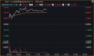 A股白马蓝筹护盘！两大板块逆势走强