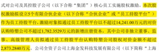 引入5亿“国家队”战投，推出股权激励，金发科技目的何在？