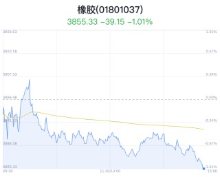 日记:海信证券橡胶行业盘中跳水，确成股份跌0.75%