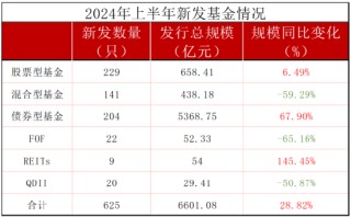 银华基金总规模排名行业第18位，但上半年新发规模217亿元，排名行业前三，王立新表扬一下你的员工