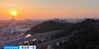 到子女工作的城市过年！“反向春运”成热潮 部分车票低至2折