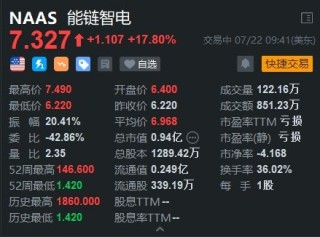美股异动 | 多重利好叠加 能链智电盘初大涨近18%