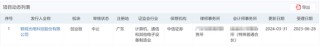 刚刚，三大交易所大华在审IPO均完成会所更换，深交所年报更新基本收官