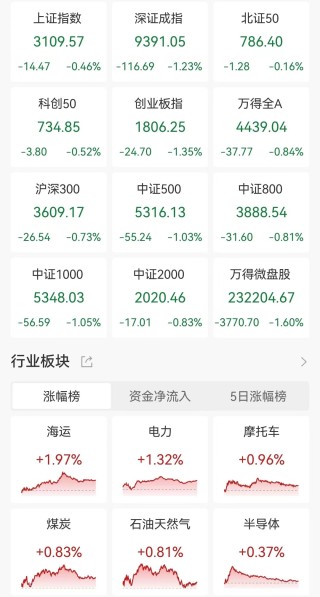 A股收评：深成指、创业板指均跌超1.2%，沪指跌0.46%！房地产下挫，电力股走高，超4100股下跌，全天成交7417亿