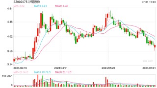 告别沈文荣 千亿沙钢进入“二代时间”
