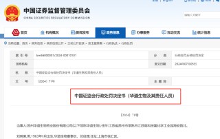 “纯纯背锅”的IPO董秘和“被抛弃”的IPO财总