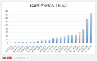 四年大赚30亿但分红很吝啬，4亿红包定向输送董事长！神州泰岳并购踩中狗屎运之后……