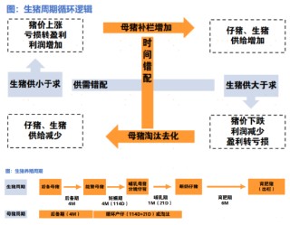 一文读懂2025年消费细分行业分析：是“宝藏”还是“风险”？