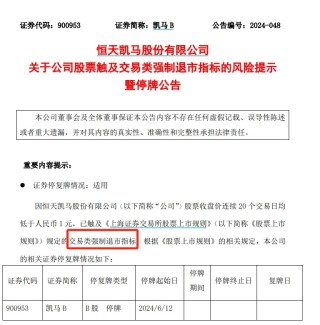 2.3万股东注意！这只股票强制退市，今天停牌！