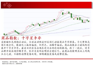 中天期货:玉米快速反弹 纯碱继续下行