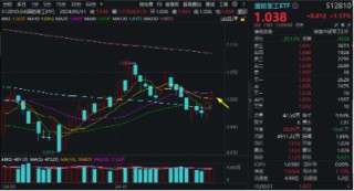 卓信宝_配资查询-正规股票配资公司