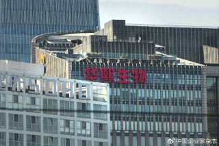 “玻尿酸女王” 华熙生物创始人张燕坐不住了