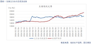 生猪供给阶段性偏紧主导看涨情绪 后续关注需求恢复情况