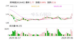 昔日跨境电商一哥 为何还不起800万元？