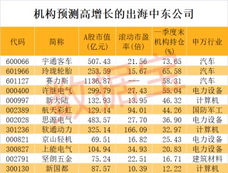 中企赴中东淘金热浪迭起，原因几何？这些A股公司“饮头啖汤”，出海龙头超七成流通盘被机构拿下