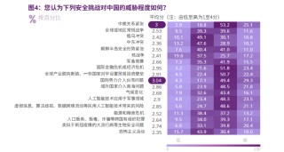 CISS民调：中国在这个世界中安全吗？