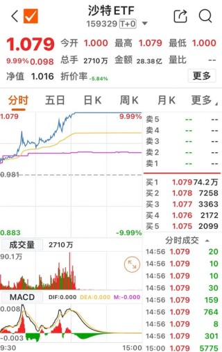 午后ETF放量，科技股爆发