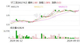 ST三圣：公司实际控制人收到刑事裁定书