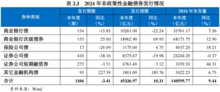 2024年债券市场发展报告