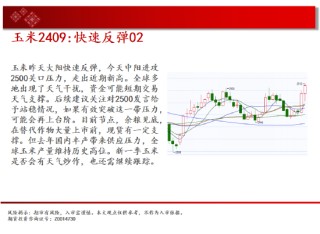 中天期货:玉米快速反弹 纯碱继续下行