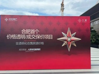 【假期e线实探】“摇号盘”重现！ 合肥楼市热起来了？
