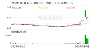 大众公用：公司为大众交通第一大股东