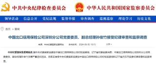 中国出口信用保险深圳分公司副总经理孙俊竹被查