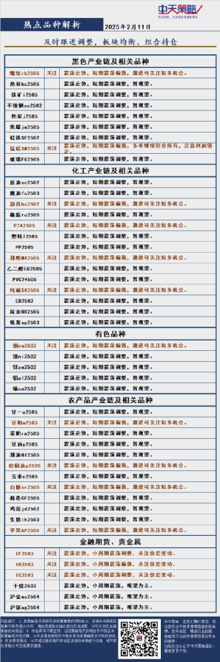 中天策略:2月11日市场分析