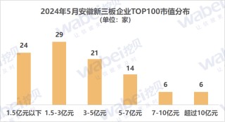 动态[易投配资]2024年5月安徽新三板企业市值TOP100：32家企业去年净利润超3000万元