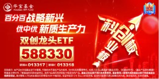 硬科技发酵？英伟达飙升近5%,存储芯片全线大涨,创业板+科创板联袂上扬,双创龙头ETF(588330)单日上涨1.06%