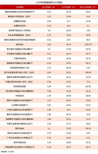 基金业绩半年榜出炉：景顺长城纳斯达克科技市值加权ETF涨34% 建信新兴市场优选A涨32%