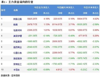 两市震荡下跌 256亿主力资金出逃！