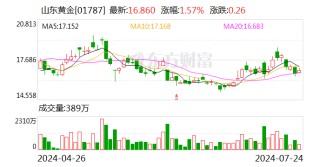 山东黄金：控股子公司银泰黄金变更证券简称为“山金国际”