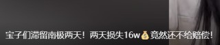 “没赔偿，感觉很亏”！数百人滞留南极，一大半是中国人！有游客称一行人多花20万元