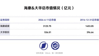 海康威视VS大华股份：从安防转战数字化转型，“马太效应”持续凸显？