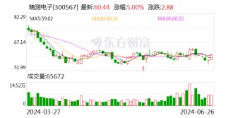精测电子：可转债转股价格调整为64.66元/股