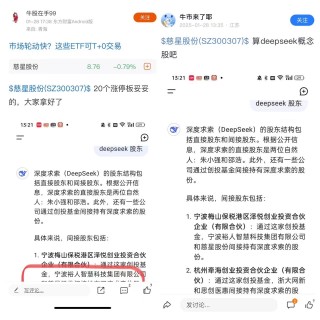 谁炮制了“入股DeepSeek”谣言？慈星股份假消息漫天飞 董秘为何不澄清